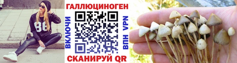 Купить  Крымск  Псилоцибиновые грибы прущие грибы 